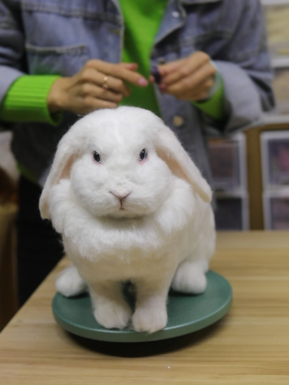 【オーダーメイドペット】羊毛フェルト、うちの子　猫ぬいぐるみ、フェルト猫、羊毛猫、肖像画、犬猫人形 プレゼントやギフトに 12枚目の画像