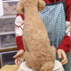 【オーダーメイドペット】羊毛フェルト、うちの子　猫ぬいぐるみ、フェルト猫、羊毛猫、肖像画、犬猫人形 プレゼントやギフトに 4枚目の画像
