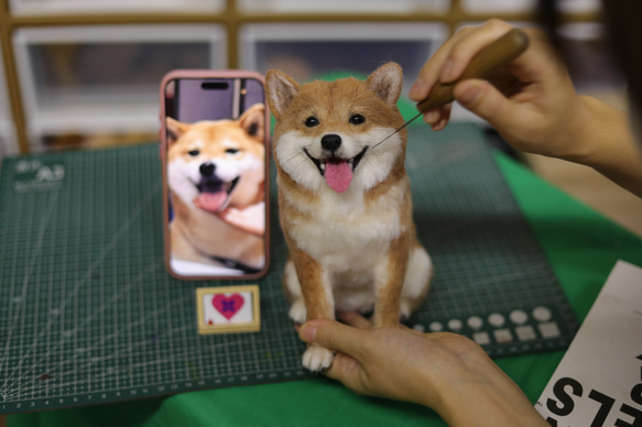 【オーダーメイドペット】羊毛フェルト、うちの子　猫ぬいぐるみ、フェルト猫、羊毛猫、肖像画、犬猫人形 プレゼントやギフトに 8枚目の画像