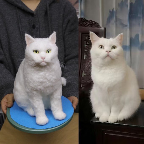 【オーダーメイドペット】羊毛フェルト、うちの子　猫ぬいぐるみ、フェルト猫、羊毛猫、肖像画、犬猫人形 プレゼントやギフトに 1枚目の画像