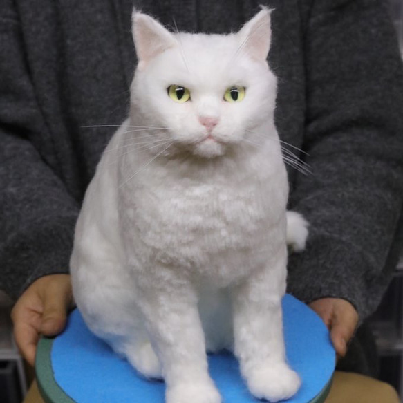 【オーダーメイドペット】羊毛フェルト、うちの子　猫ぬいぐるみ、フェルト猫、羊毛猫、肖像画、犬猫人形 プレゼントやギフトに 3枚目の画像
