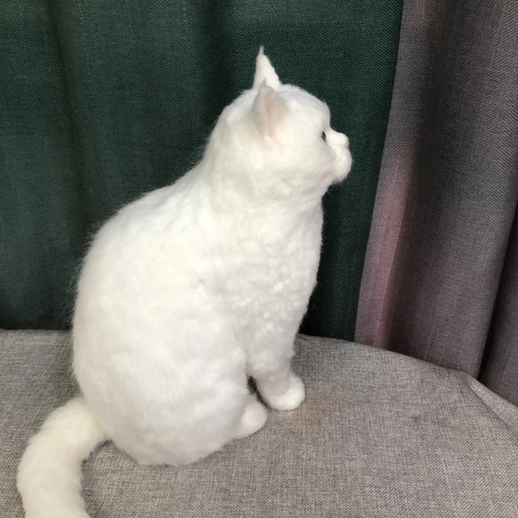 【オーダーメイドペット】羊毛フェルト、うちの子　猫ぬいぐるみ、フェルト猫、羊毛猫、肖像画、犬猫人形 プレゼントやギフトに 4枚目の画像