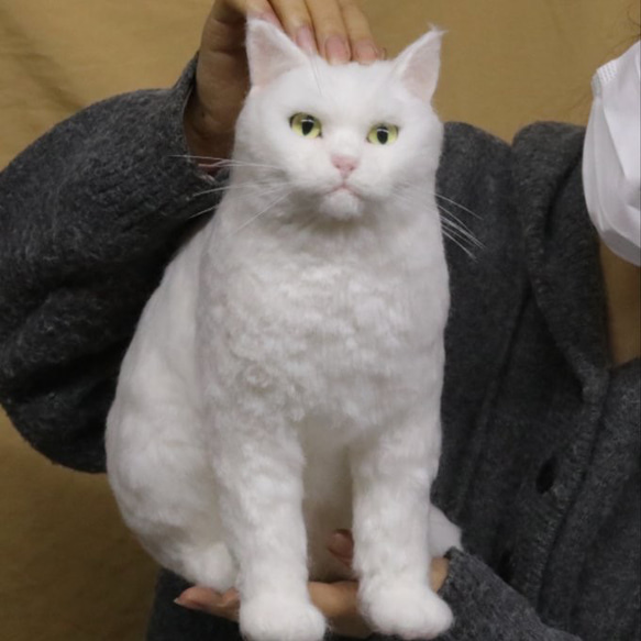【オーダーメイドペット】羊毛フェルト、うちの子　猫ぬいぐるみ、フェルト猫、羊毛猫、肖像画、犬猫人形 プレゼントやギフトに 2枚目の画像