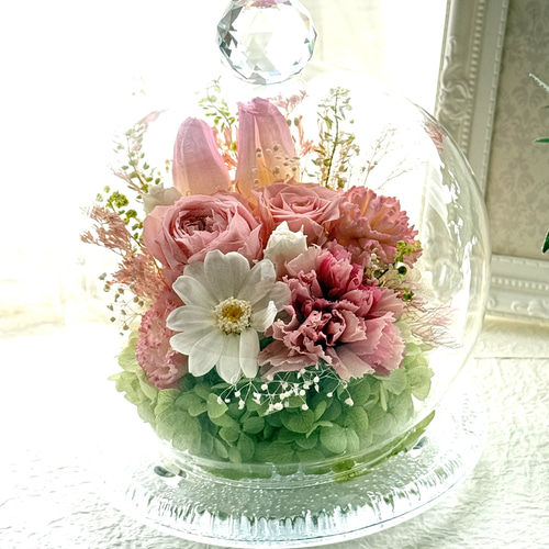 新作プリザーブドフラワーガラスドーム 希少なチューリップ