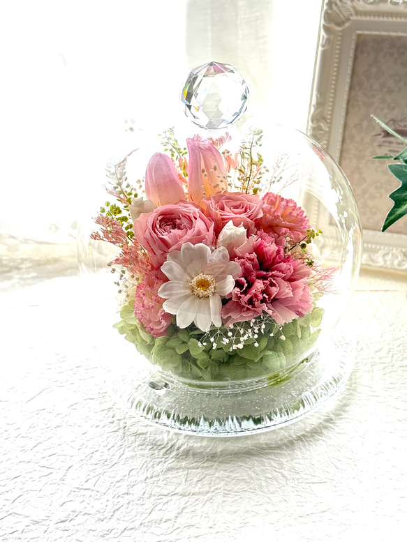 新作プリザーブドフラワーガラスドーム 希少なチューリップ