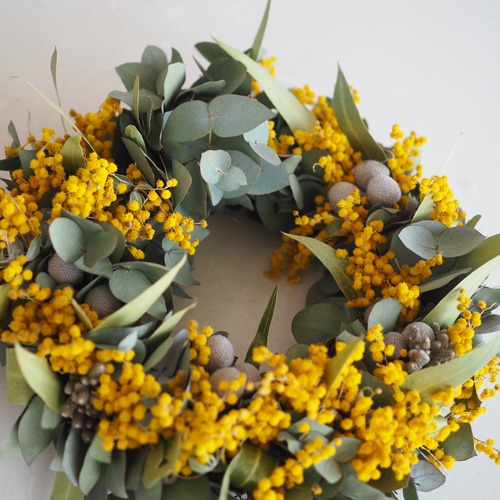 即日発送 パールアカシアとユーカリリース 【パールアカシア】【ミモザ