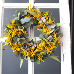 ミモザリース パールアカシア ユーカリ ミモザリース パールアカシア