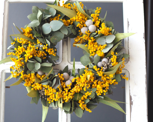 ミモザリース　パールアカシア　ユーカリ 即日発送 パールアカシアとユーカリリース 【パールアカシア】【ミモザ