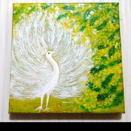 受注製作☆風水吉祥絵画＊白孔雀とアカシア ミモザの光降る大地 吉兆