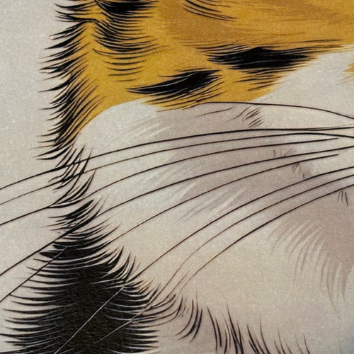 原画 墨絵 三毛猫 #44 61lTHSMr-PL._UF350,350_QL80_.jpg