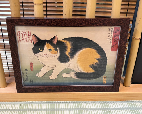 21545024916065c9f2e5ec185b6375