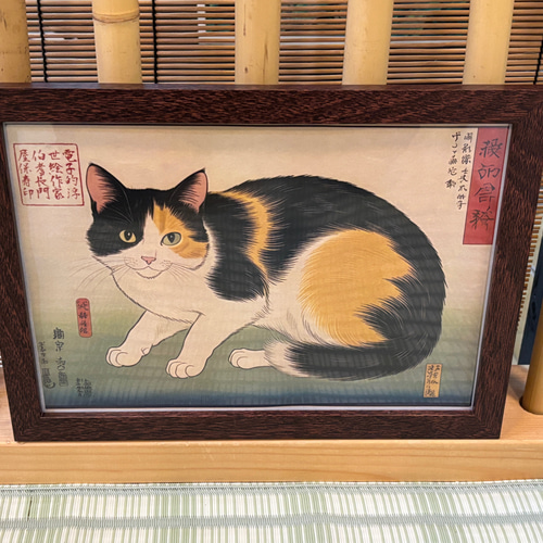 創作浮世絵和紙 若い三毛猫 イラスト 長門屋保寿 通販 19177851