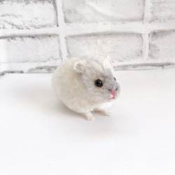 a11ce563a73b21ab435ce78a9bb054