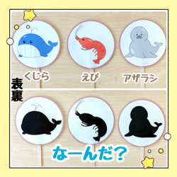 【完成品】ペープサート 海のいきもの シルエットクイズ 保育教材 出し物 誕生会 5枚目の画像