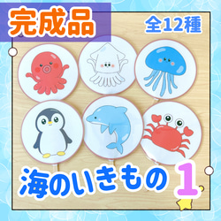 【完成品】ペープサート 海のいきもの シルエットクイズ 保育教材 出し物 誕生会 1枚目の画像