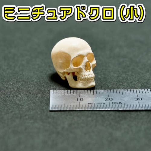 ドクロのミニチュア(小) 髑髏 頭蓋骨 スカル ガイコツ ホラー