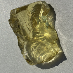 ピスタチオ様★専用★超本物‼️ネリーランド産✡️アンダラ スカーレットシフト ピスタチオ様☆専用☆超本物‼️ネリーランド産✡️アンダラ