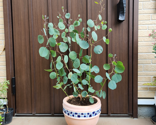 ee5c3473b437c1621316c7ccad3fa4