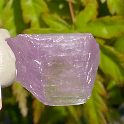 ライラックピンク クンツァイト 鉱物標本 原石 天然石 天然色 11枚目の画像