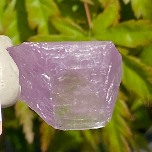 ライラックピンク クンツァイト 鉱物標本 原石 天然石 天然色 その他