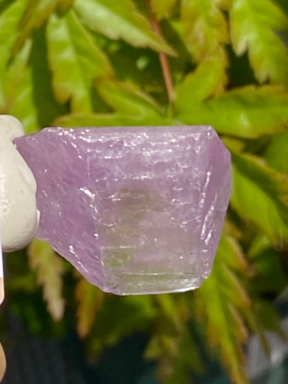 ライラックピンク クンツァイト 鉱物標本 原石 天然石 天然色 11枚目の画像