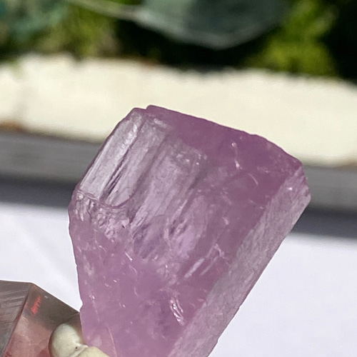 ライラックピンク クンツァイト 鉱物標本 原石 天然石 天然色 その他