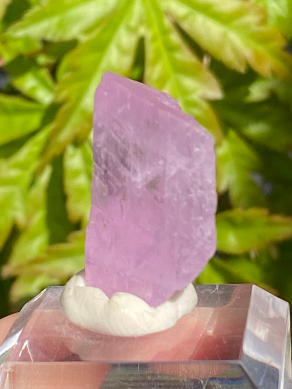 ライラックピンク クンツァイト 鉱物標本 原石 天然石 天然色 5枚目の画像