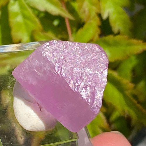 ライラックピンク クンツァイト 鉱物標本 原石 天然石 天然色 その他