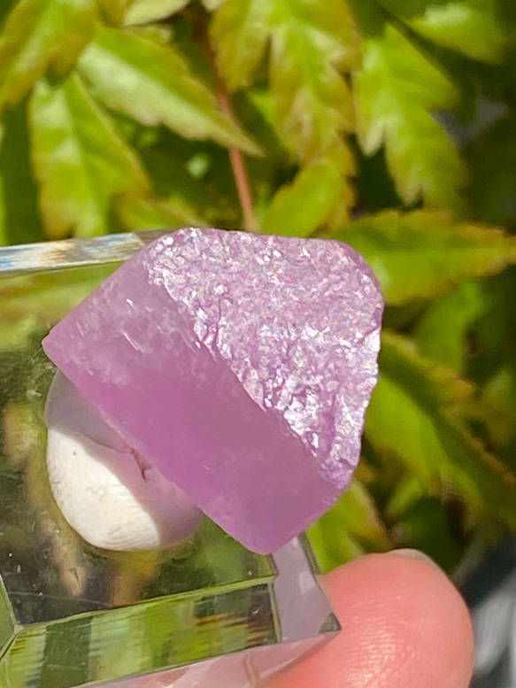 ライラックピンク クンツァイト 鉱物標本 原石 天然石 天然色 10枚目の画像