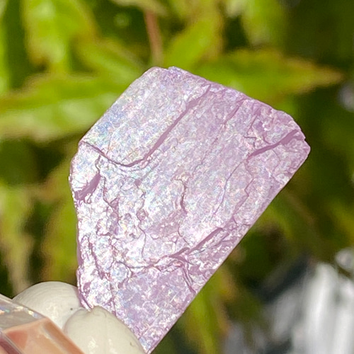 ライラックピンク クンツァイト 鉱物標本 原石 天然石 天然色 その他