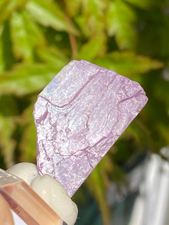 ライラックピンク クンツァイト 鉱物標本 原石 天然石 天然色 8枚目の画像