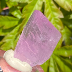 ライラックピンク クンツァイト 鉱物標本 原石 天然石 天然色 4枚目の画像