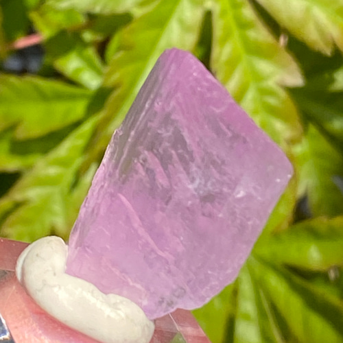 ライラックピンク クンツァイト 鉱物標本 原石 天然石 天然色 その他