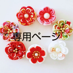 専用 1枚目の画像