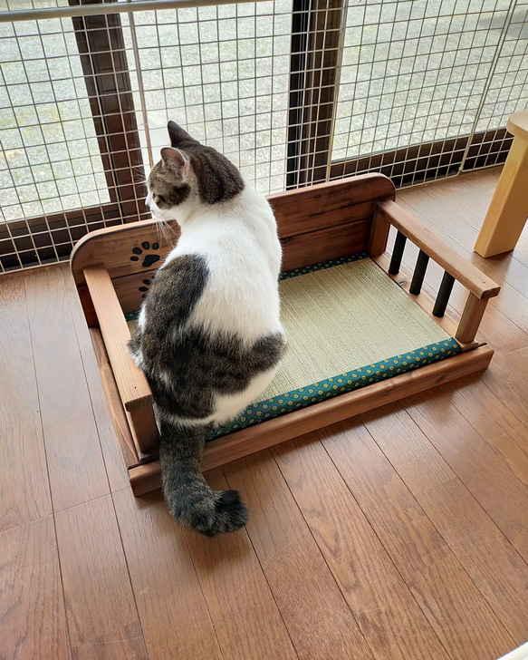 ジャパンディなペットベッド（ブラウン）- 和風 畳 猫 犬 ペット