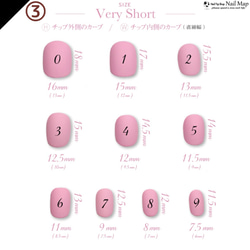 ネイルチップ　結婚式　ウェディング　ブライダル　前撮り　お花　フラワー　ミラーフラワー　お呼ばれ　ボタニカル 6枚目の画像