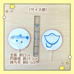 【完成品】ペープサート 海のいきもの2 保育教材 出し物 誕生会 シルエットクイズ 6枚目の画像