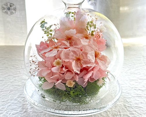 1935455c602f7a1391d8c4db201692