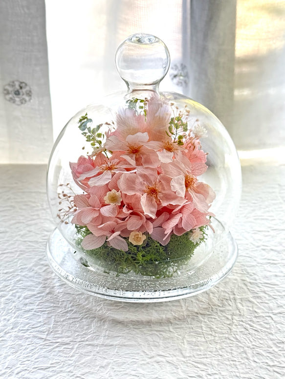 新作プリザーブドフラワーさくら紫陽花ガラスドーム 母の日ギフト 結婚
