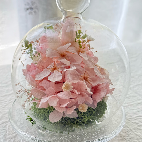 新作プリザーブドフラワーさくら紫陽花ガラスドーム 母の日ギフト 結婚