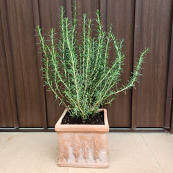 1f16a8de8b92f57a0a1d05b4a2e10d