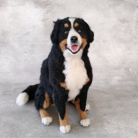 羊毛フェルト犬、サンプル画像 公式】羊毛フェルトで作るワンちゃんブローチ | ムーミンバレーパーク