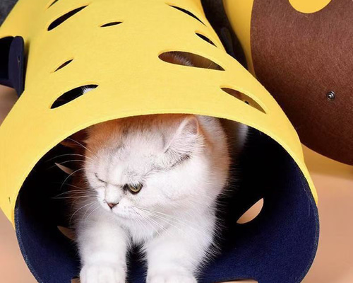 猫の遊び心と探索欲を満たす　トンネル　遊び　おもちゃ Amazon.co.jp: PAWZ Road 猫 トンネル 猫 おもちゃ うさぎ 犬