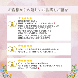 冷感×UVカットで涼しく快適｜3wayブラウス（前後着用・羽織可）｜ピンク&ネイビー｜ゆったりゴム袖｜T0186 2枚目の画像