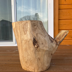 霊芝 置物 直径25cm 高さ20cm 300g 霊芝 置物 直径25cm 高さ20cm 300g 霊芝 置物 直径25cm 高さ20cm 300g