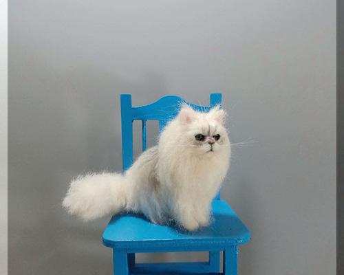 羊毛フェルト。猫。チンチラシルバー。バラ 羊毛フェルト。猫。チンチラシルバー。バラ（羊毛フェルト。猫