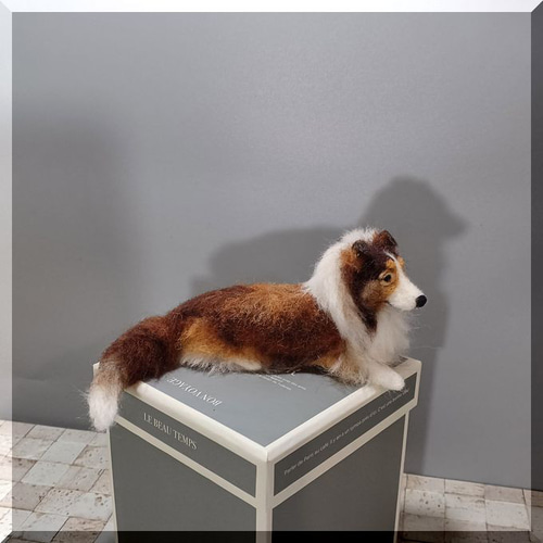 羊毛フェルト 犬 ミニチュア シェルティ シェットランド