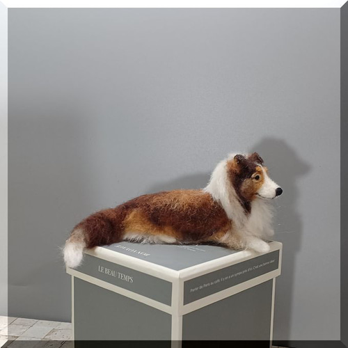 羊毛フェルト 犬 ミニチュア シェルティ シェットランド