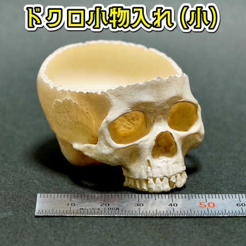 ドクロの小物入れ(小) 髑髏 頭蓋骨 スカル ガイコツ ホラー ハロウィン