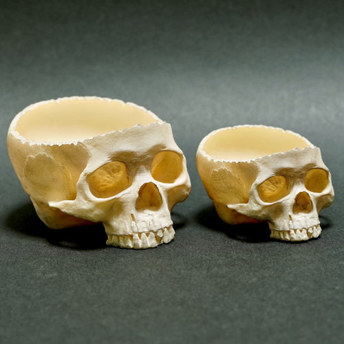 ドクロの小物入れ(小) 髑髏 頭蓋骨 スカル ガイコツ ホラー ハロウィン